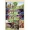 Комикс "Робін Гуд. Поцілунок злодія"