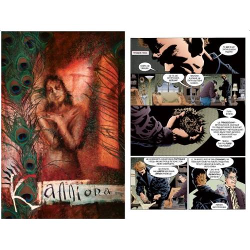 The Sandman. Пісочний чоловік. Книга 3 Країна снів