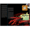 The Sandman. Пісочний чоловік. Книга 9 Милостиві