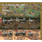 Всадники Скифии (Raiders of Scythia) UA